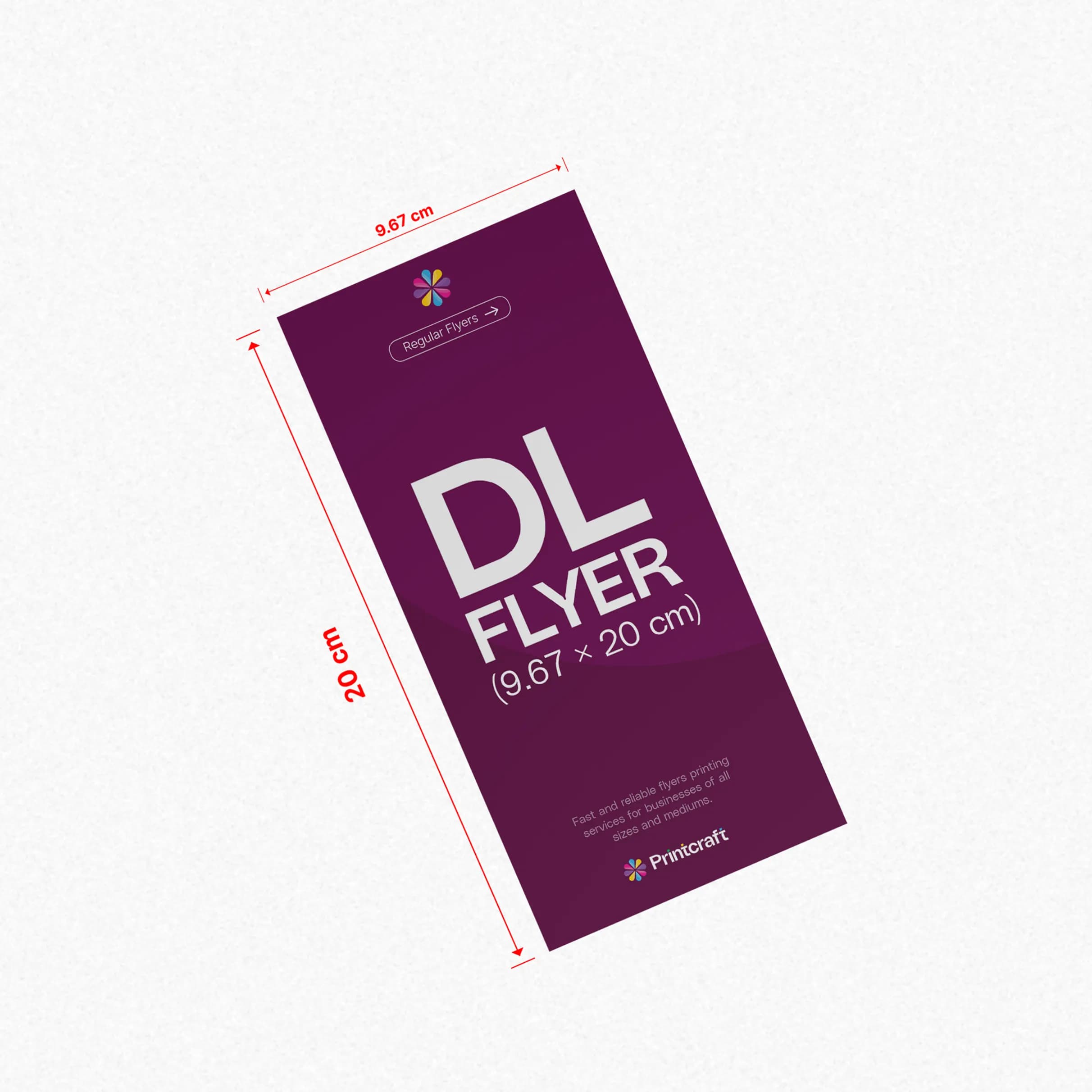 DL Regular-Flyer – image 1