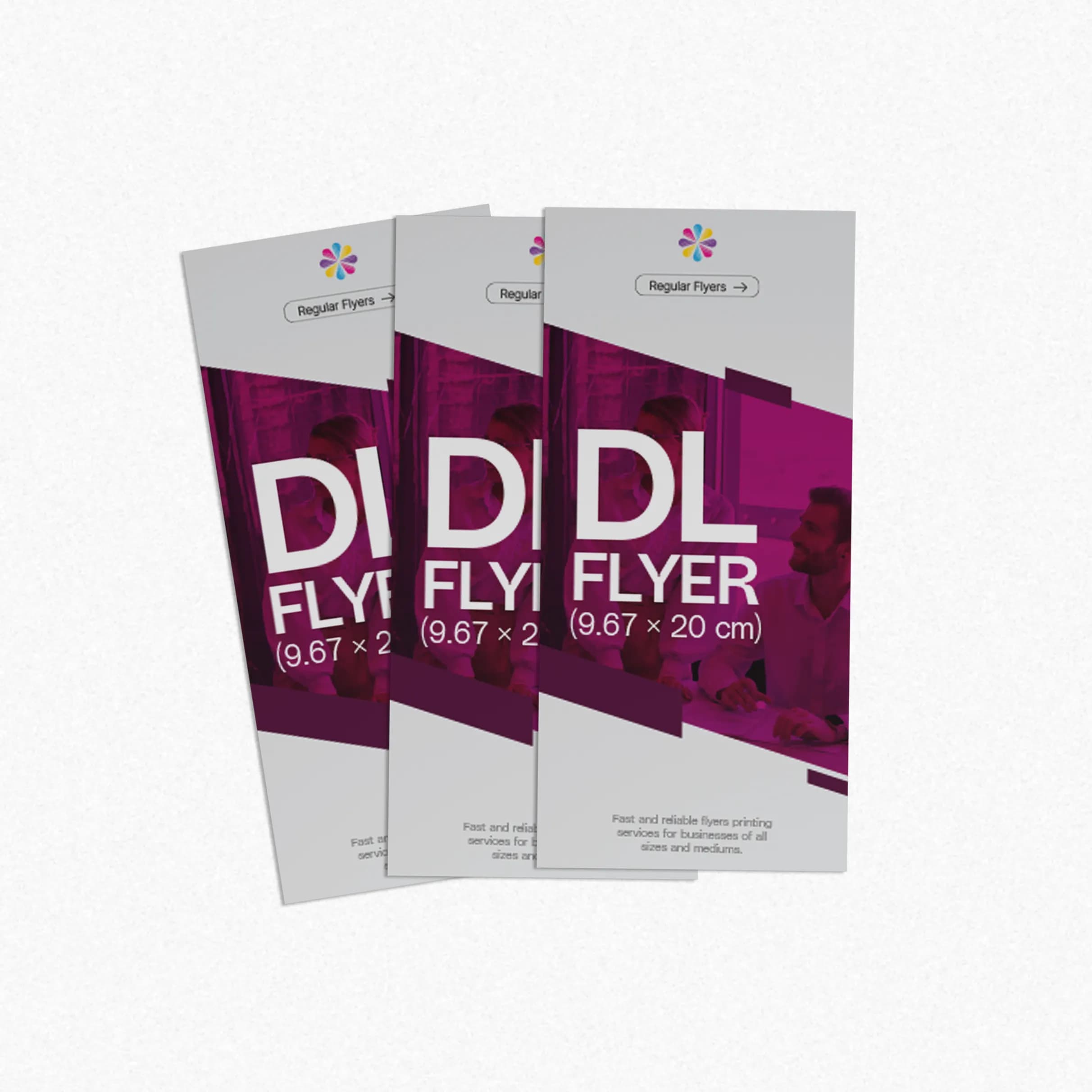 DL Regular-Flyer – image 3