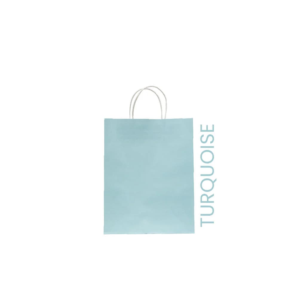 Turquoise Kraft Paper Bags, Multiple Sizes – image 3