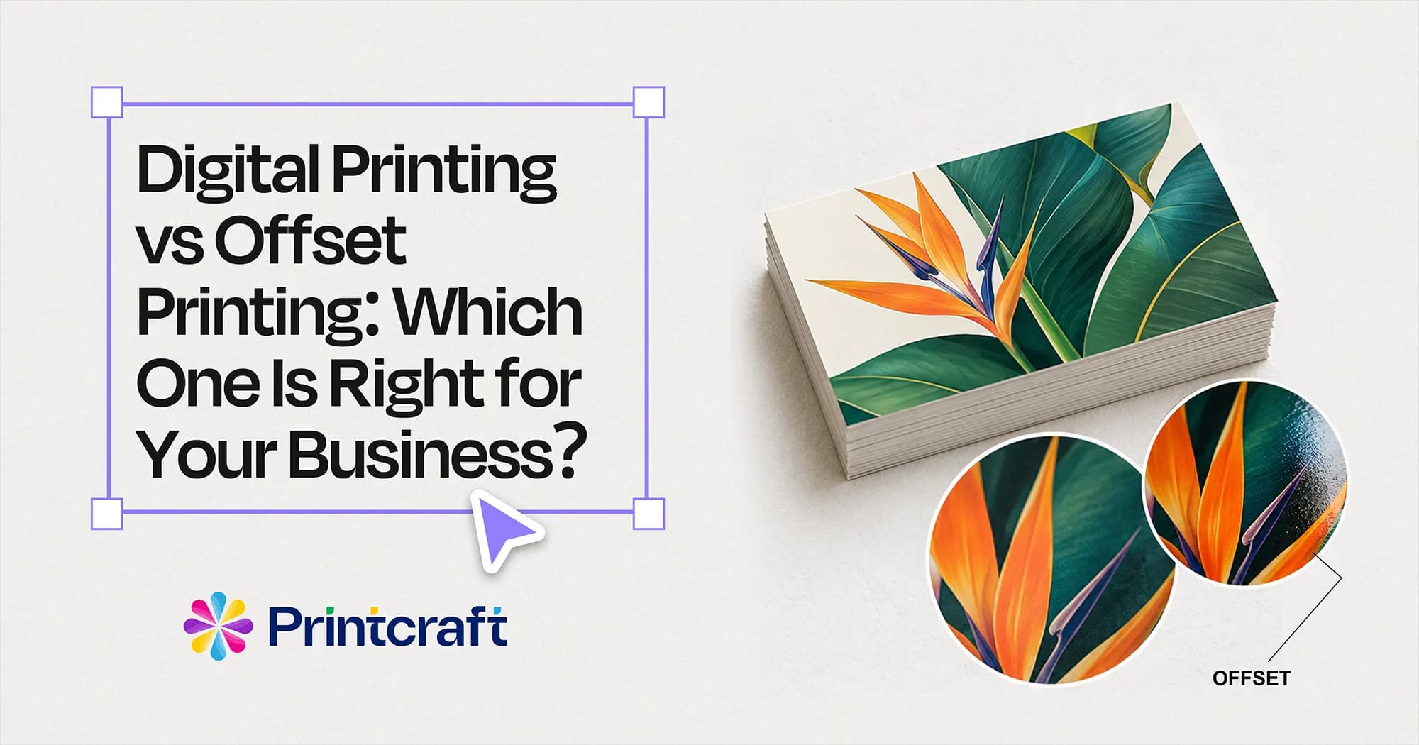 Featured image: Digital Printing vs Offset Printing: Which One Is Right for Your Business?